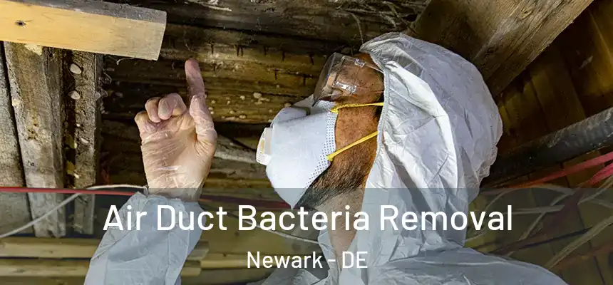  Air Duct Bacteria Removal Newark - DE