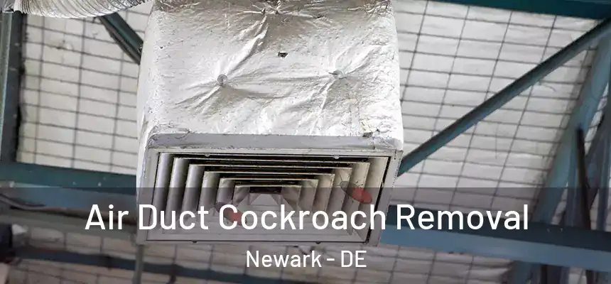  Air Duct Cockroach Removal Newark - DE