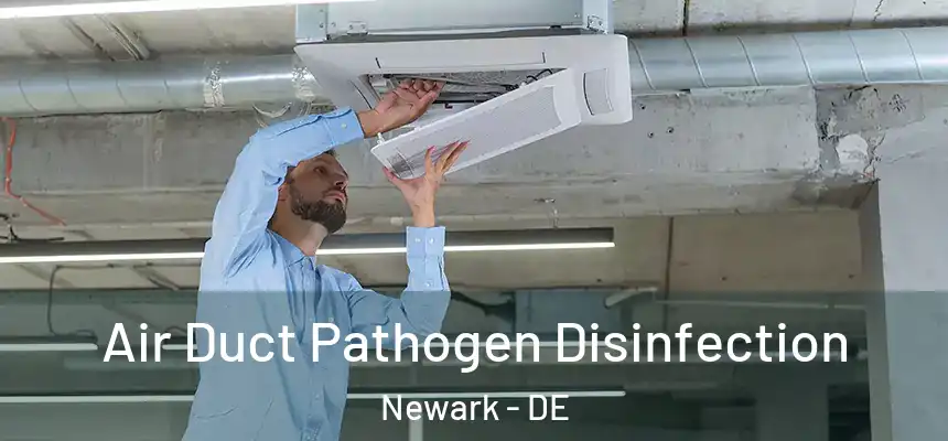 Air Duct Pathogen Disinfection Newark - DE
