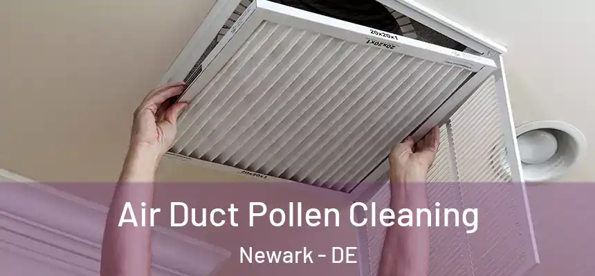  Air Duct Pollen Cleaning Newark - DE