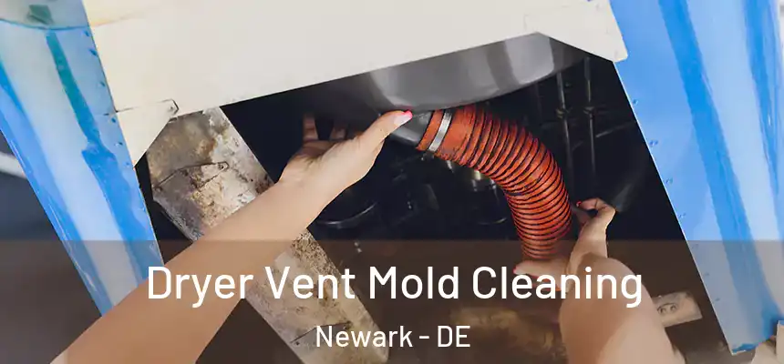  Dryer Vent Mold Cleaning Newark - DE