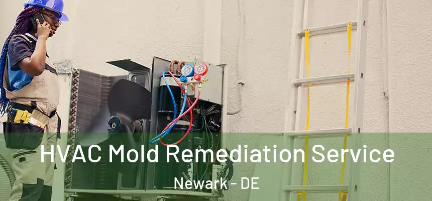  HVAC Mold Remediation Service Newark - DE