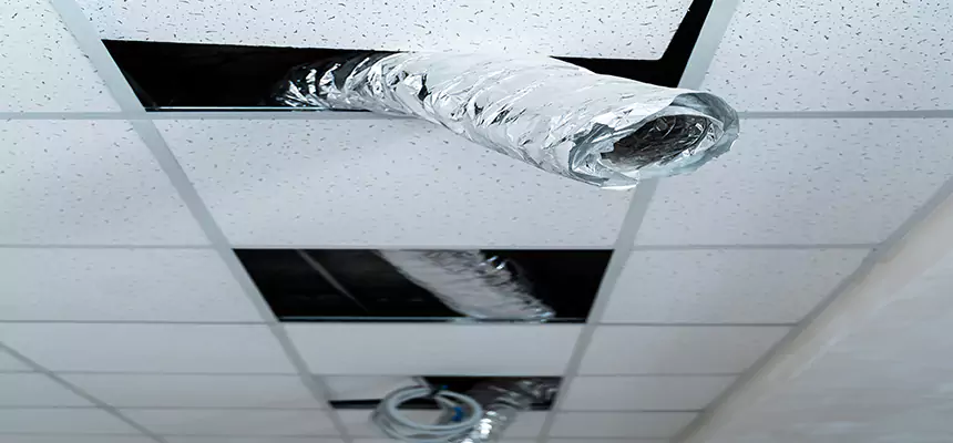 Affordable HVAC Sanitizing After Pest Removal in Newark