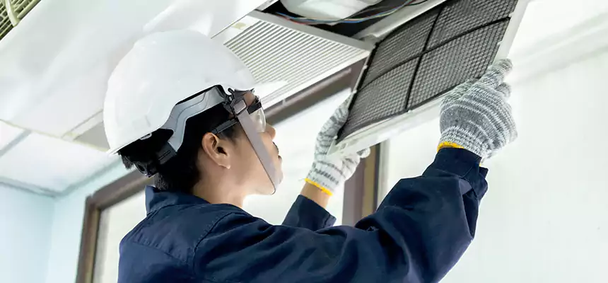 Our Mold & Mildew Removal from Air Ducts Services in Newark, DE