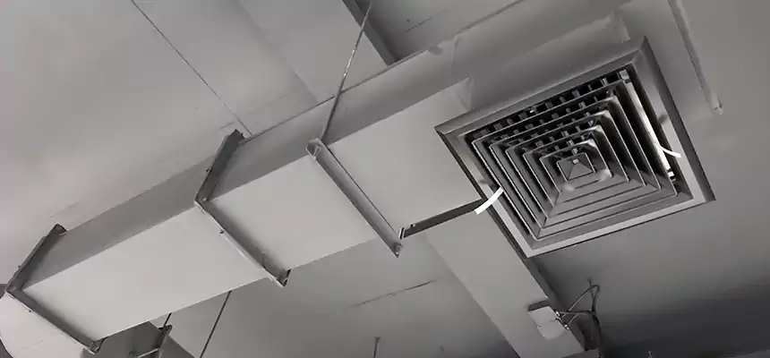 Our Pest Removal From Ducts Services in Newark, DE