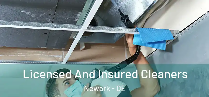  Licensed And Insured Cleaners Newark - DE