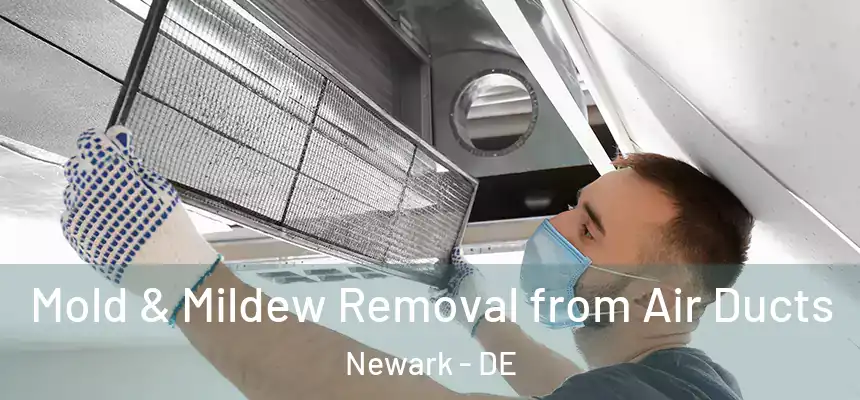  Mold & Mildew Removal from Air Ducts Newark - DE