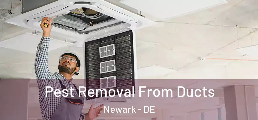  Pest Removal From Ducts Newark - DE