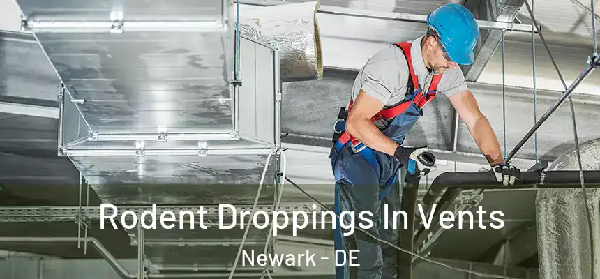  Rodent Droppings In Vents Newark - DE