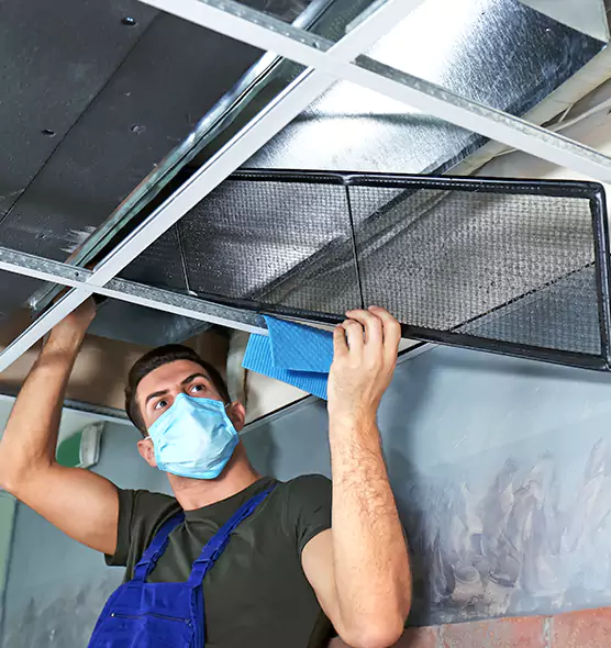 Professional Air Duct Pollen Cleaning in Newark, DE