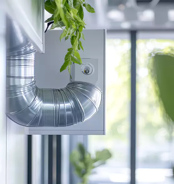 Professional Eco-Safe Dryer Vent Cleaning in Newark, DE