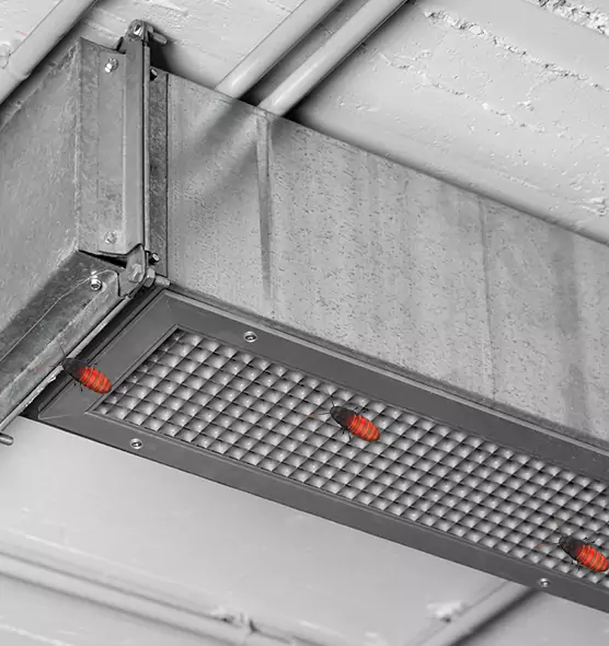 Affordable Insect Removal from Air Ducts in Newark, DE