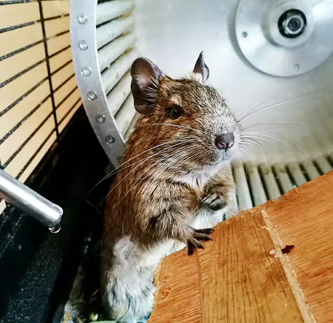 Why Homeowners & Businesses Trust Us Newark, DE?