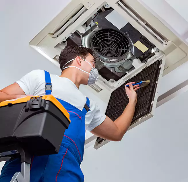 Why Homeowners & Businesses Trust Us in Newark, DE?