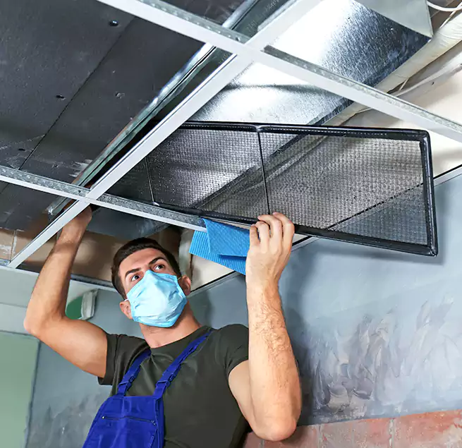 Why Homeowners Businesses Trust Us in Newark, DE